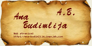 Ana Budimlija vizit kartica